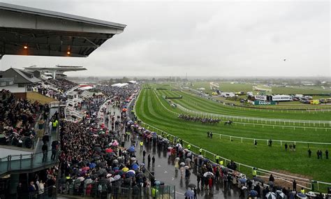 aintree races 2023 tips|2023 Grand National tips: why this horse can win the .